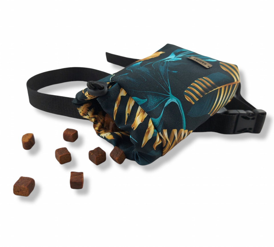 333843984_1424885384713355_5413761260900707448_n