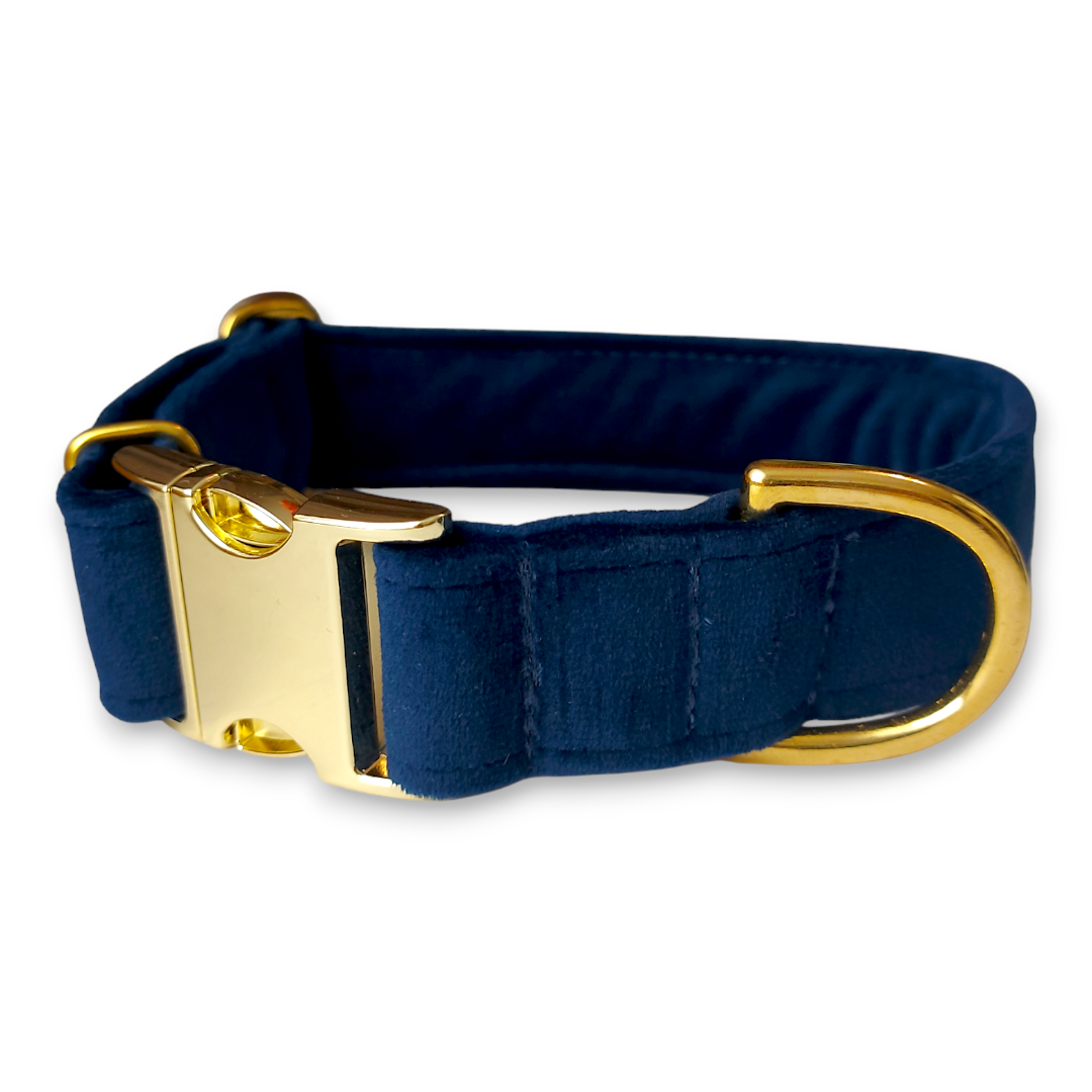 obroża welurowa dla psa ze złotymi okuciami obroża welurowa dla psa ze złotymi okuciami