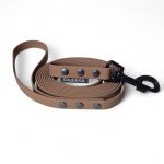 oliwka zielona z mosiężnymi okuciami